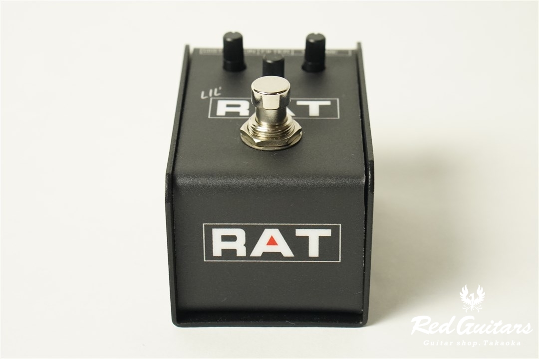 Pro Co LIL' RAT | Red Guitars Online Store